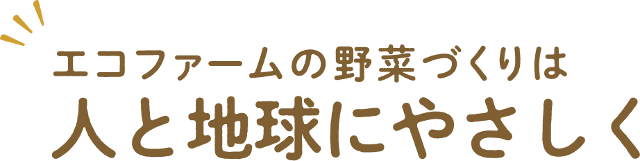 エコファームの野菜づくりは人と地球にやさしく