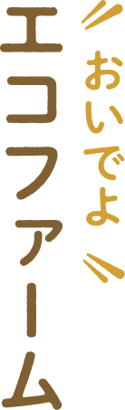 おいでよエコファーム