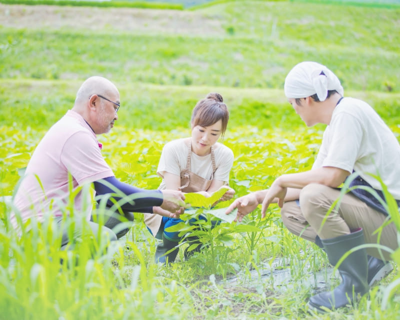 基礎がしっかり学べる