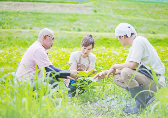 基礎がしっかり学べる